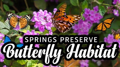 las vegas butterfly habitat.